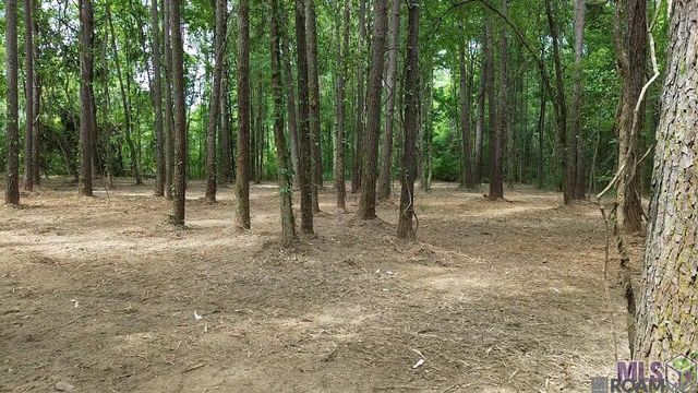 Tract X-1 Scott Barr Rd, Slaughter, LA 70777