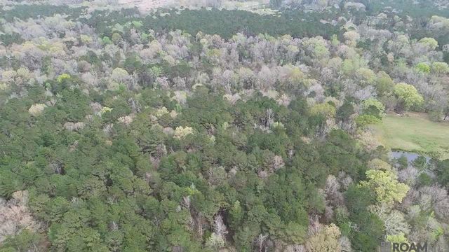 Tract X-1 Scott Barr Rd, Slaughter, LA 70777
