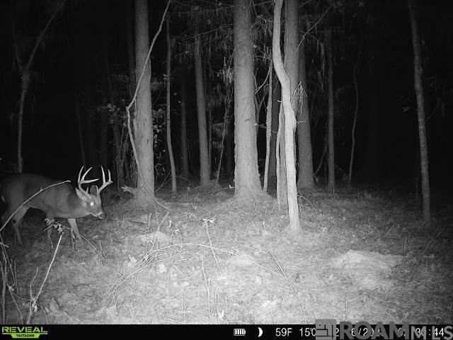 Tract X-1 Scott Barr Rd, Slaughter, LA 70777