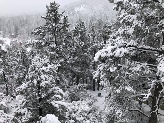 2800 Rainier Way, Pine Mountain Club, CA 93222