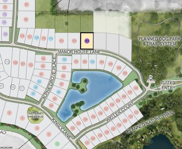 11169 MANOR HOUSE LANE, Odessa, FL 33556