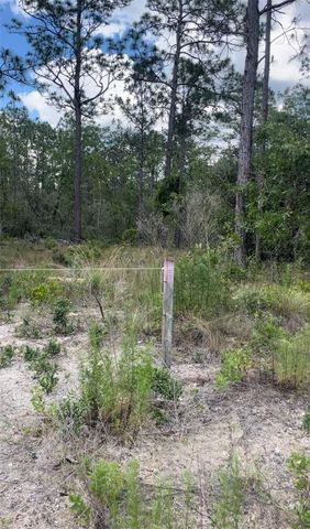 0 NW RIGEWOOD ROAD, Dunnellon, FL 34431