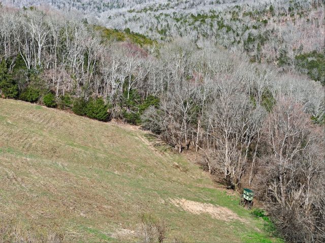 1700 Hannah Branch Rd, Liberty, TN 37095