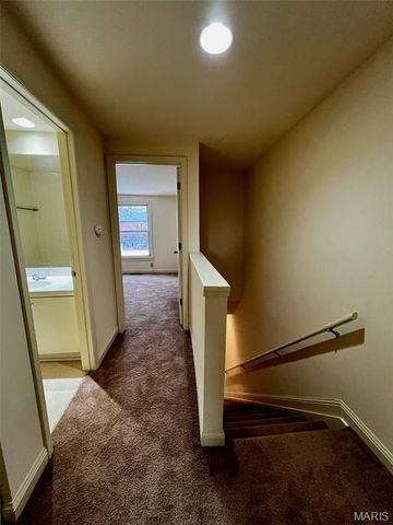 2317 S 10th Street, St Louis, MO 63104