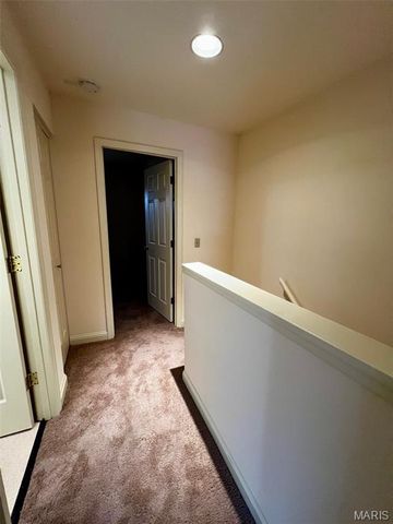 2317 S 10th Street, St Louis, MO 63104