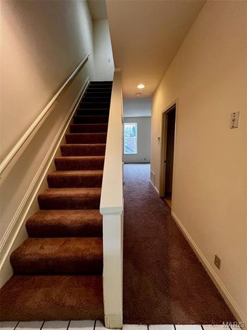 2317 S 10th Street, St Louis, MO 63104