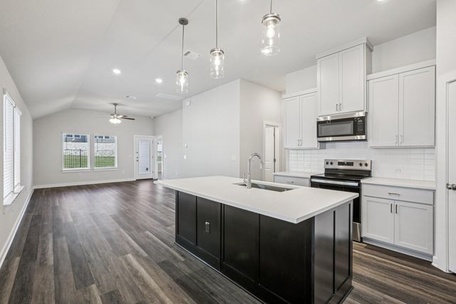 2236 Delano DR, Leander, TX 78641