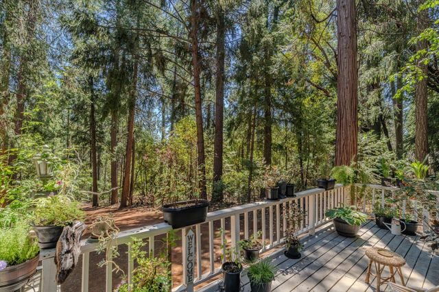 16845 S Silver Dr, Pioneer, CA 95666