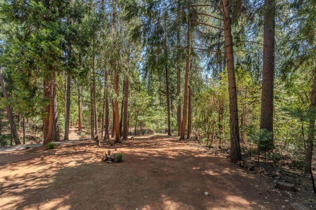 16845 S Silver Dr, Pioneer, CA 95666