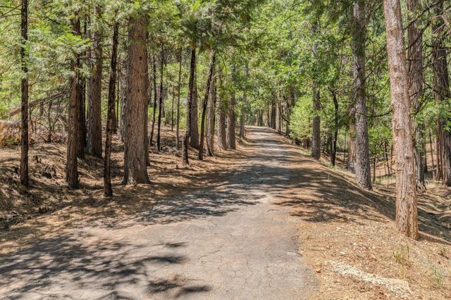 16845 S Silver Dr, Pioneer, CA 95666