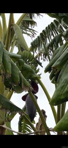 2073 Willow Glen Road, Fallbrook, CA 92028