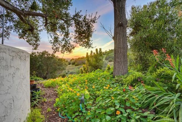 2073 Willow Glen Road, Fallbrook, CA 92028