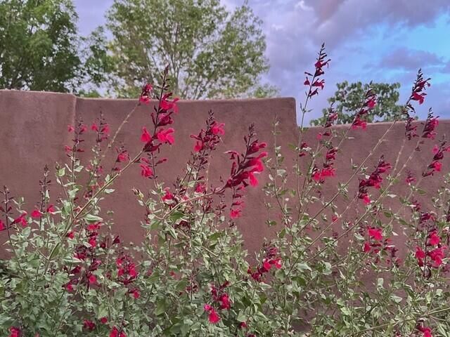 117 Doolittle Road, Corrales, NM 87048