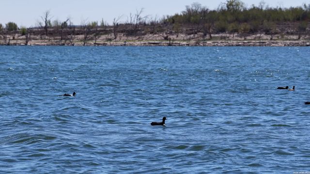 956 Lakebreeze Dr, Canyon Lake, TX 78133