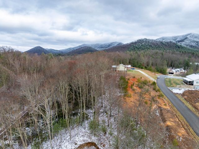48 Homestead Drive, Unicoi, TN 37692