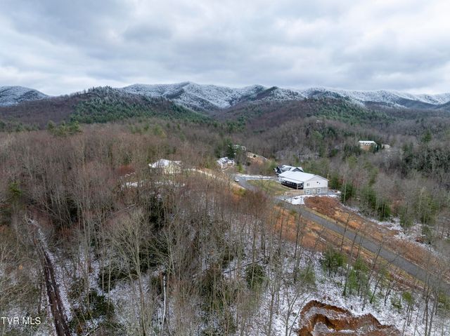 48 Homestead Drive, Unicoi, TN 37692