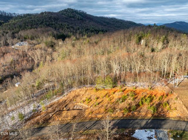 48 Homestead Drive, Unicoi, TN 37692