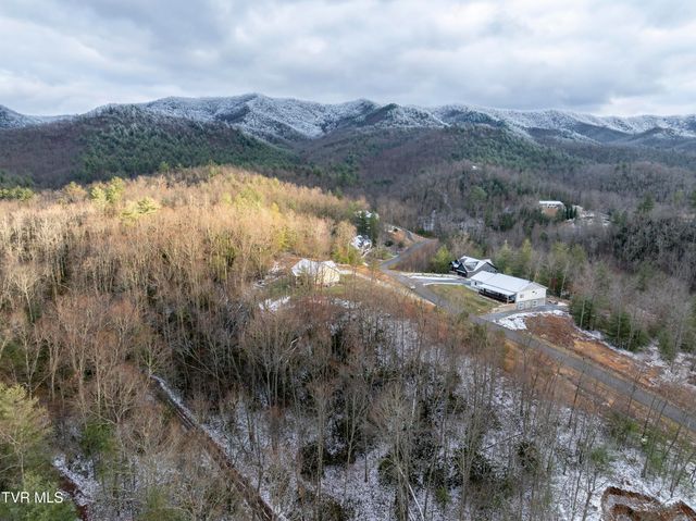 48 Homestead Drive, Unicoi, TN 37692