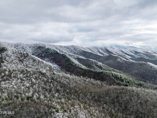 48 Homestead Drive, Unicoi, TN 37692