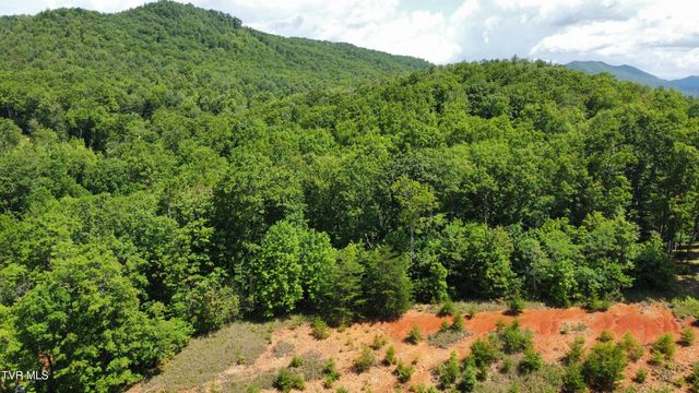48 Homestead Drive, Unicoi, TN 37692
