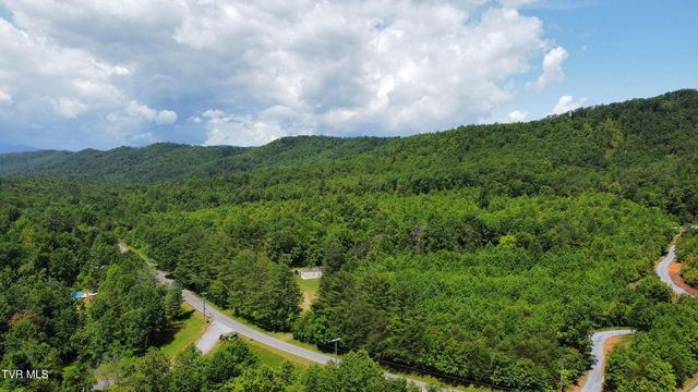 48 Homestead Drive, Unicoi, TN 37692