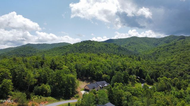 48 Homestead Drive, Unicoi, TN 37692
