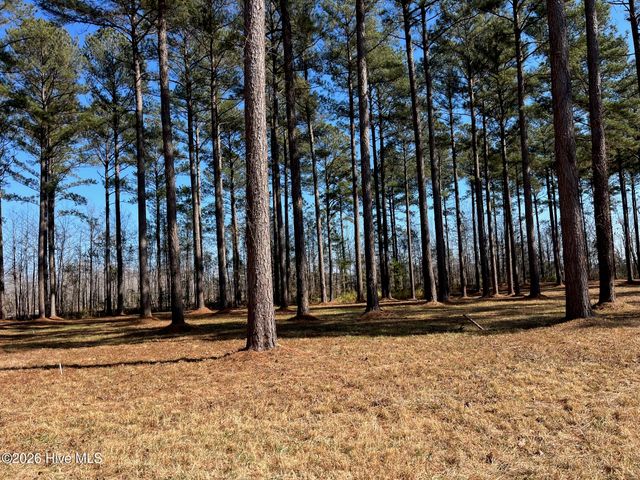 40 Currituck Court, Oriental, NC 28571