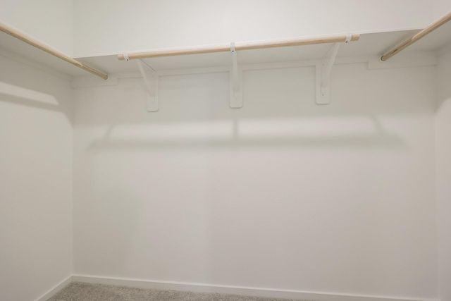 18081 Trepito Avenue, New Caney, TX 77357