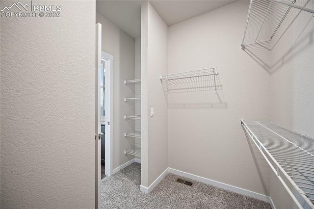 11914 Lost Peak Lane, Colorado Springs, CO 80925