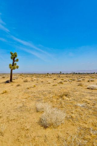 6982 South Street, Phelan, CA 92371