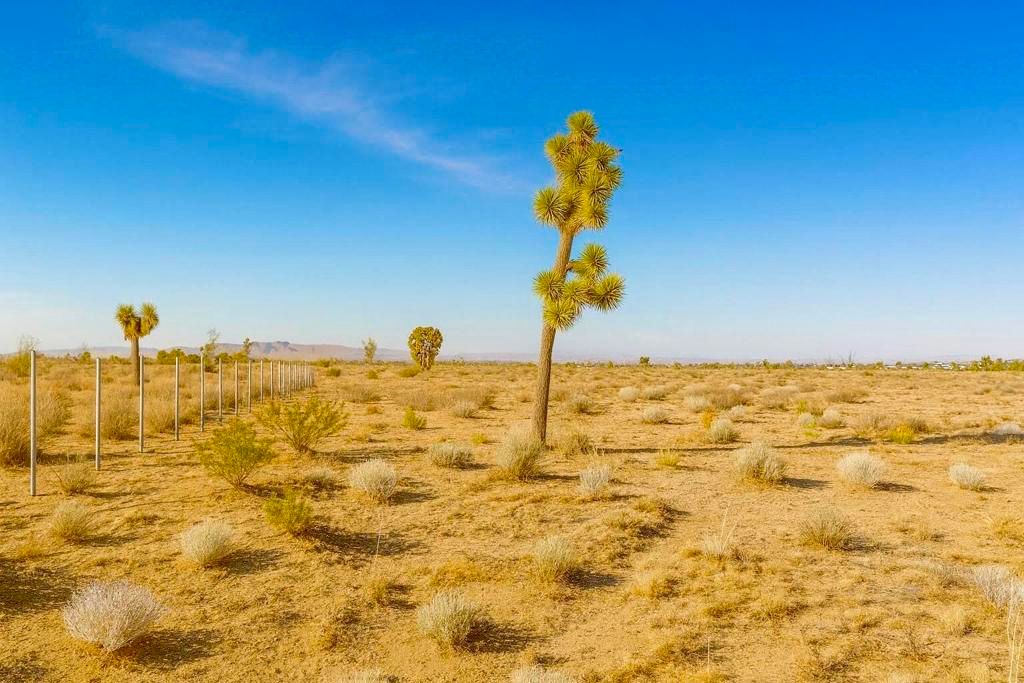 6982 South Street, Phelan, CA 92371