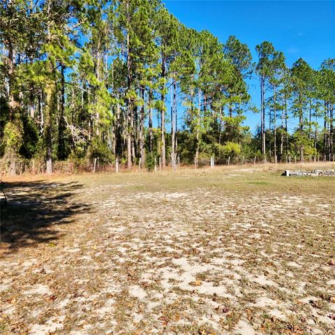 16021 SE 170TH AVENUE, Weirsdale, FL 32195