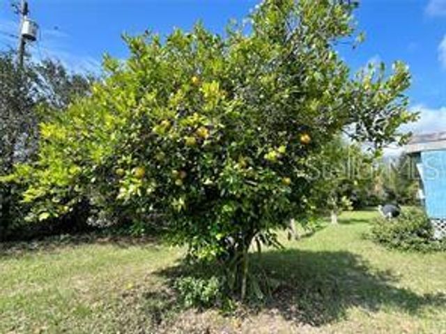 16021 SE 170TH AVENUE, Weirsdale, FL 32195