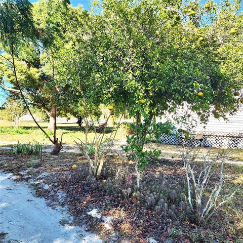 16021 SE 170TH AVENUE, Weirsdale, FL 32195