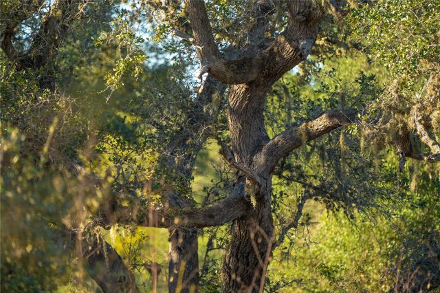 0 County Road 1, Morales-sanchez, TX 77957