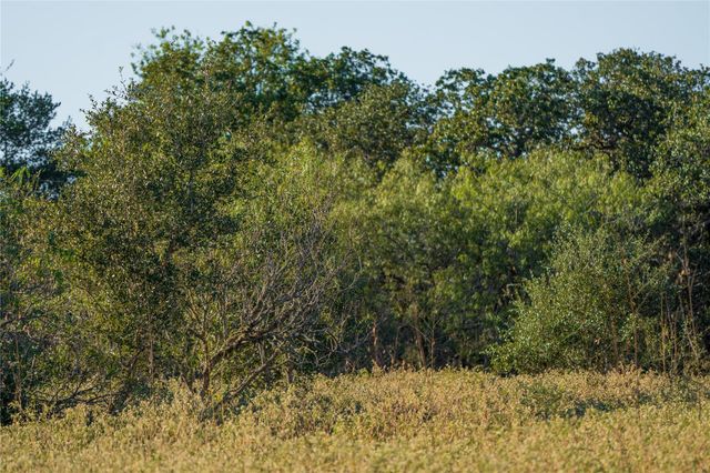 0 County Road 1, Morales-sanchez, TX 77957