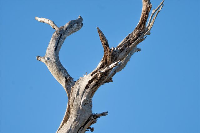 0 County Road 1, Morales-sanchez, TX 77957