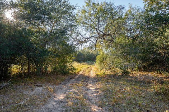 0 County Road 1, Morales-sanchez, TX 77957