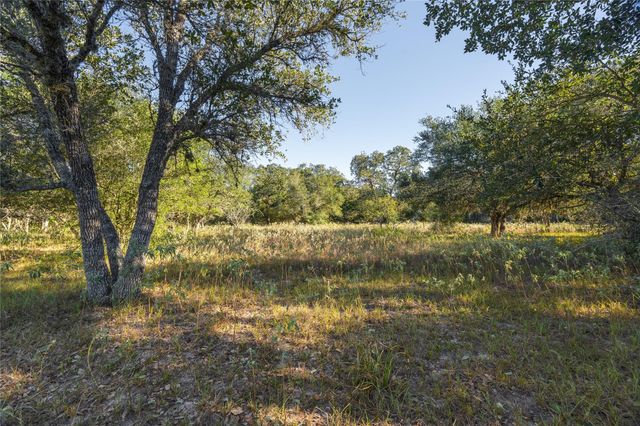 0 County Road 1, Morales-sanchez, TX 77957