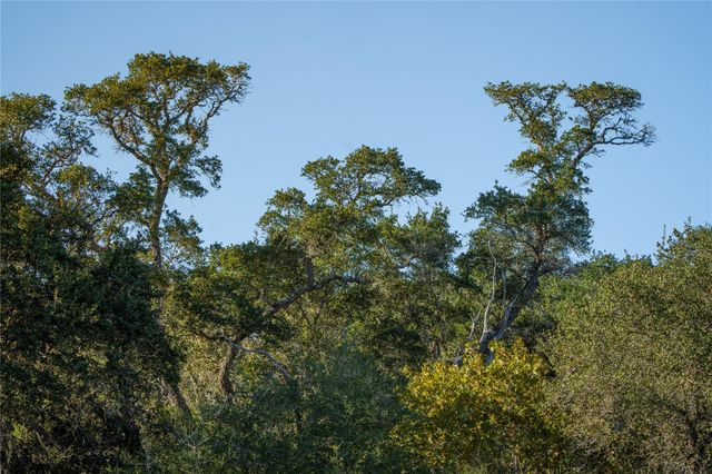 0 County Road 1, Morales-sanchez, TX 77957