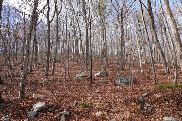 Knapp Court S, Carmel, NY 10512