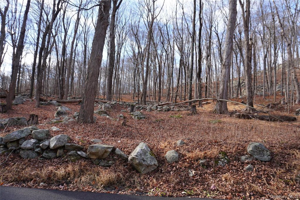 Knapp Court S, Carmel, NY 10512