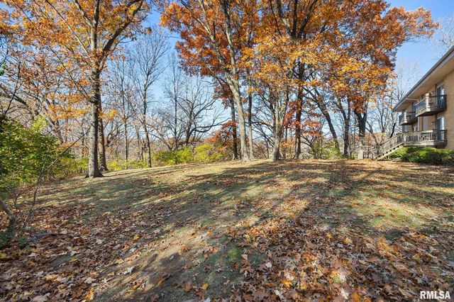 2913 W Cannes Dr Apt C, Peoria, IL 61615