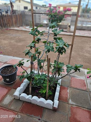 5630 N Azalia Street, Casa Grande, AZ 85122