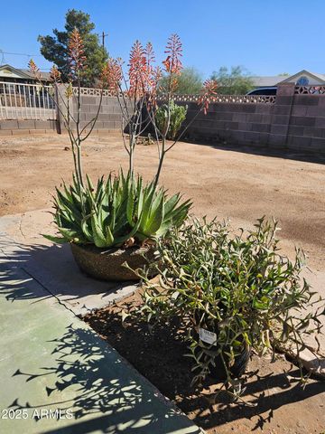 5630 N Azalia Street, Casa Grande, AZ 85122