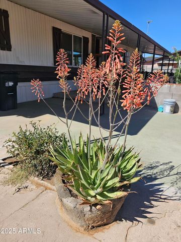 5630 N Azalia Street, Casa Grande, AZ 85122