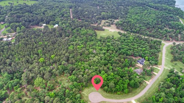 3101 Shadow Pine Dr, Larue, TX 75770