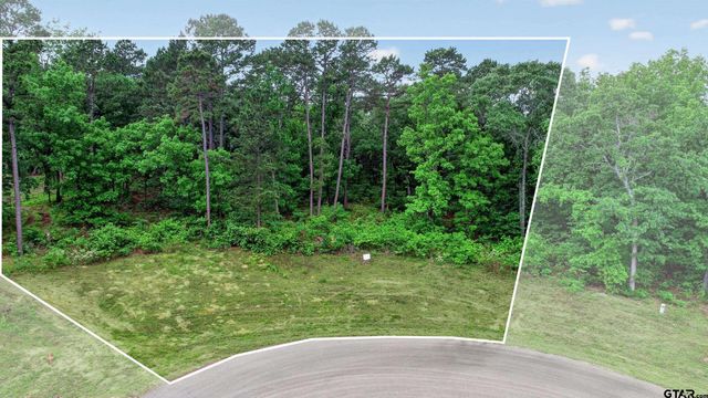 3101 Shadow Pine Dr, Larue, TX 75770