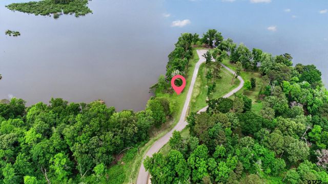3101 Shadow Pine Dr, Larue, TX 75770