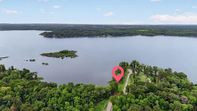 3101 Shadow Pine Dr, Larue, TX 75770
